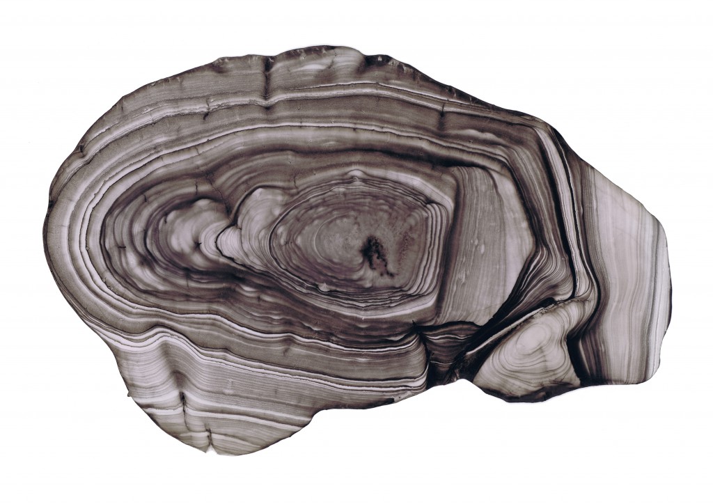 Cross Section